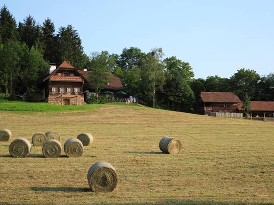 harvesting of hay