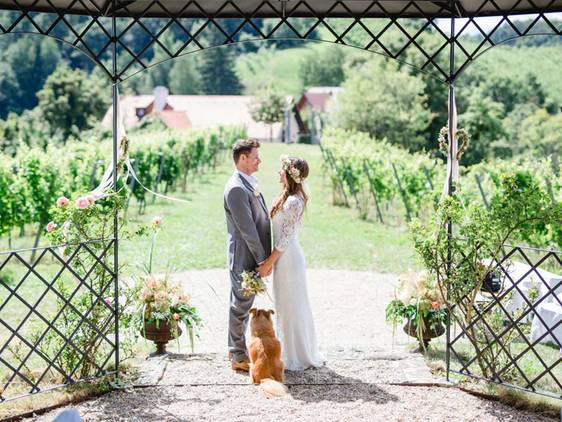 Wedding in the vineyard